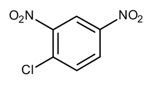 Dinitrochlorobenzene Molecular Image