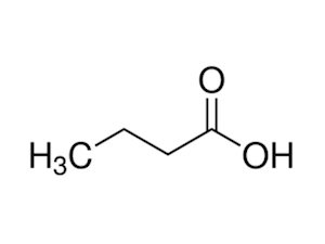 Butyric Acid Molecular Image