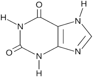 Xanthine Molecular Image